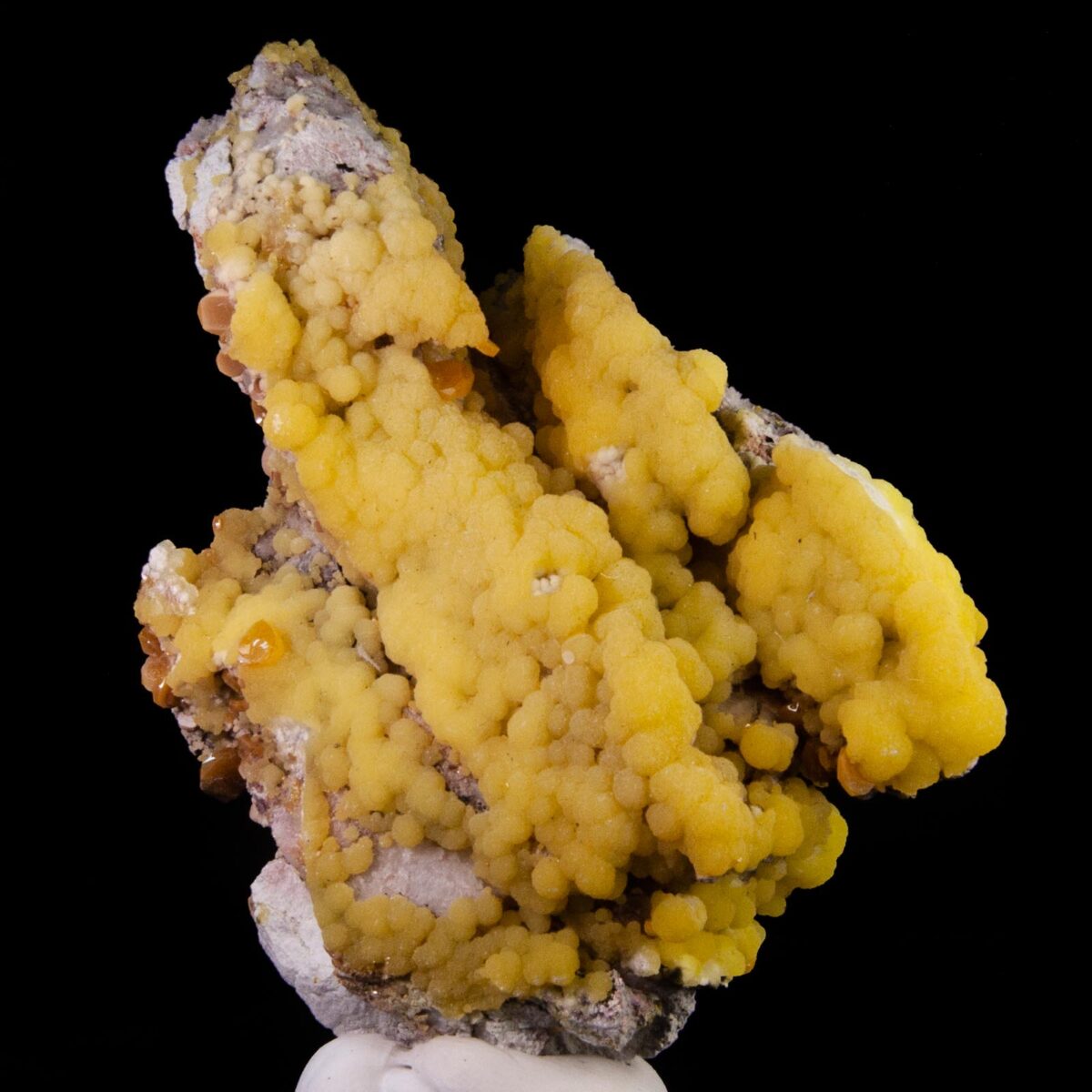 Mimetite and Wulfenite