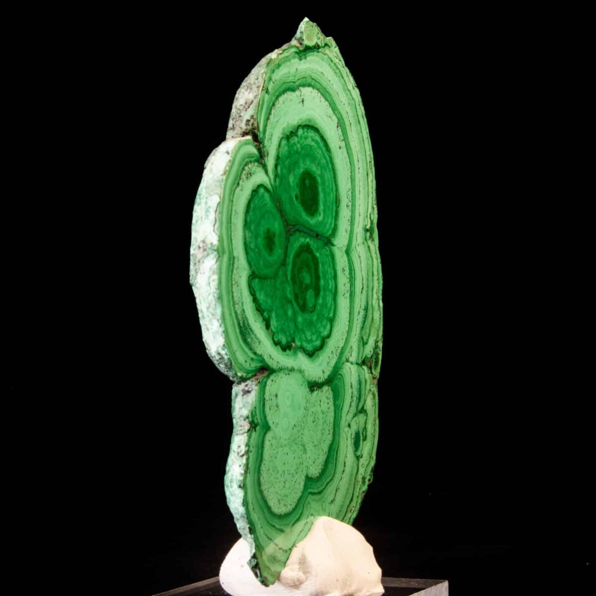 Malachite Stalactite Slice (polished)