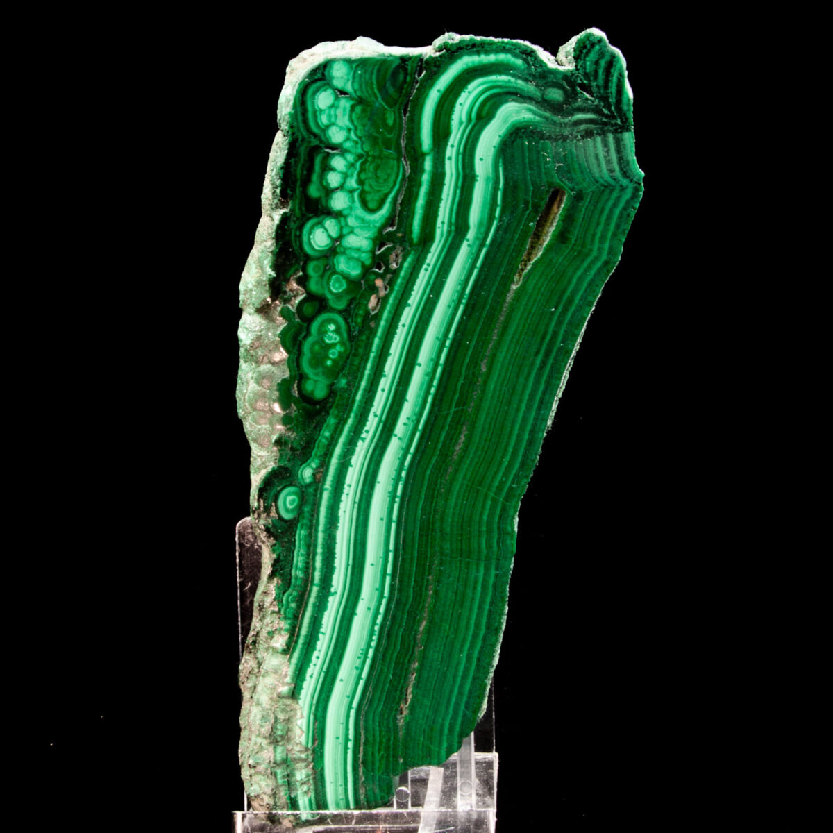 Banded Malachite Slice (Polished)