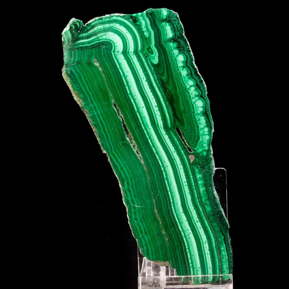 Banded Malachite Slice (Polished)