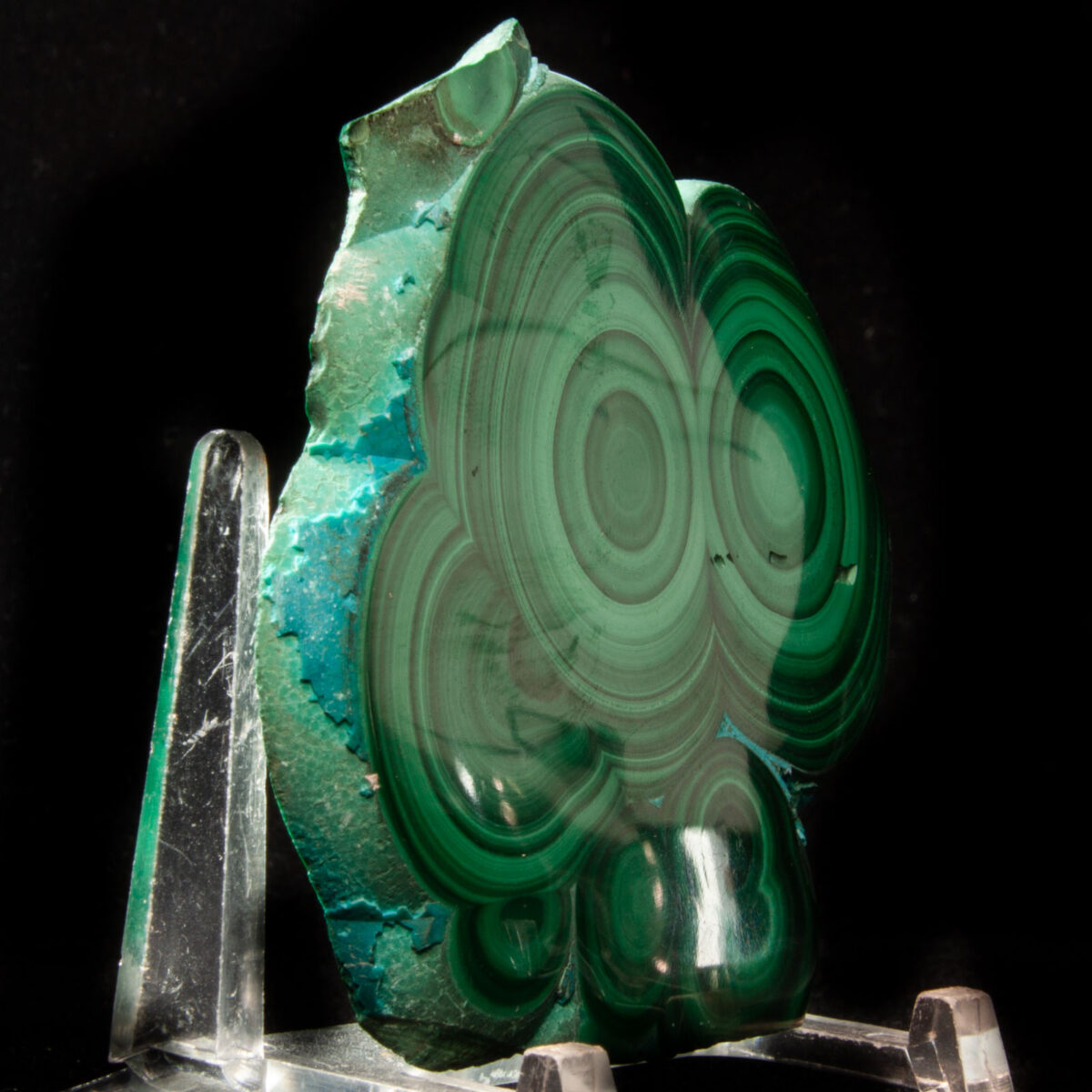 Malachite Stalactite Slice (polished)