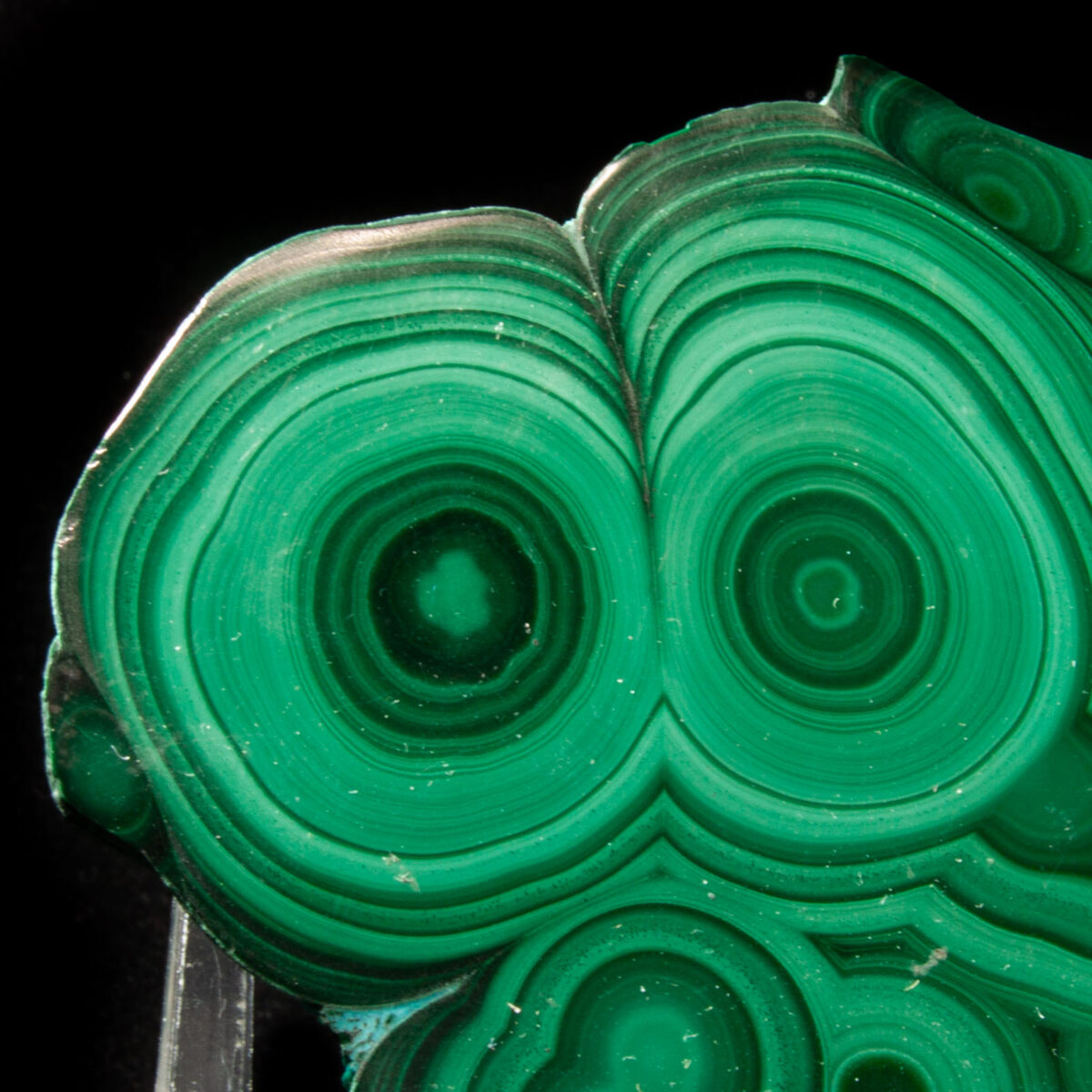 Malachite Stalactite Slice (polished)