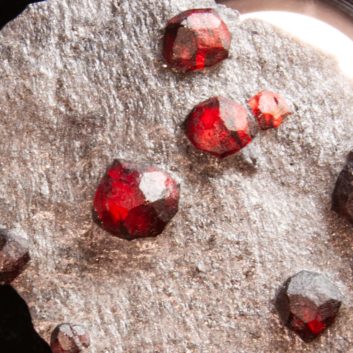 Garnets in Graphite Schist