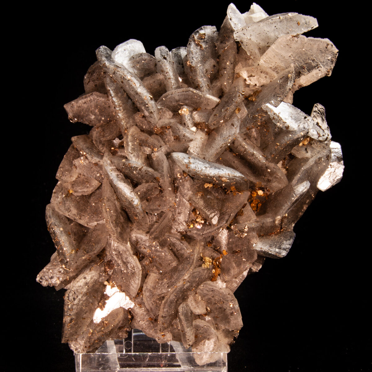 Dolomite with Pyrrhotite and minor Cubanite