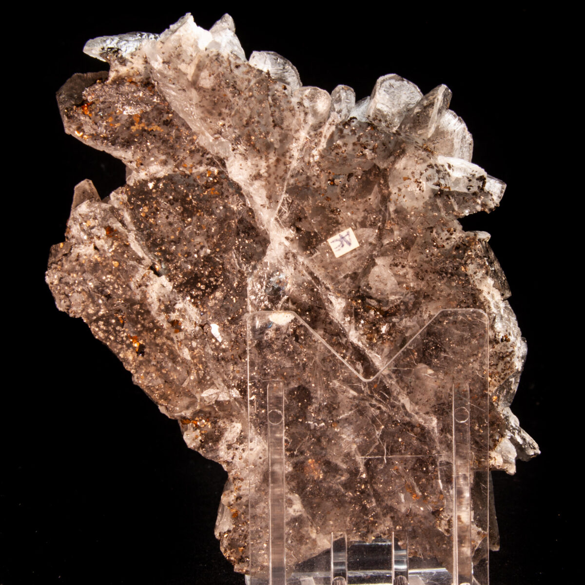 Dolomite with Pyrrhotite and minor Cubanite