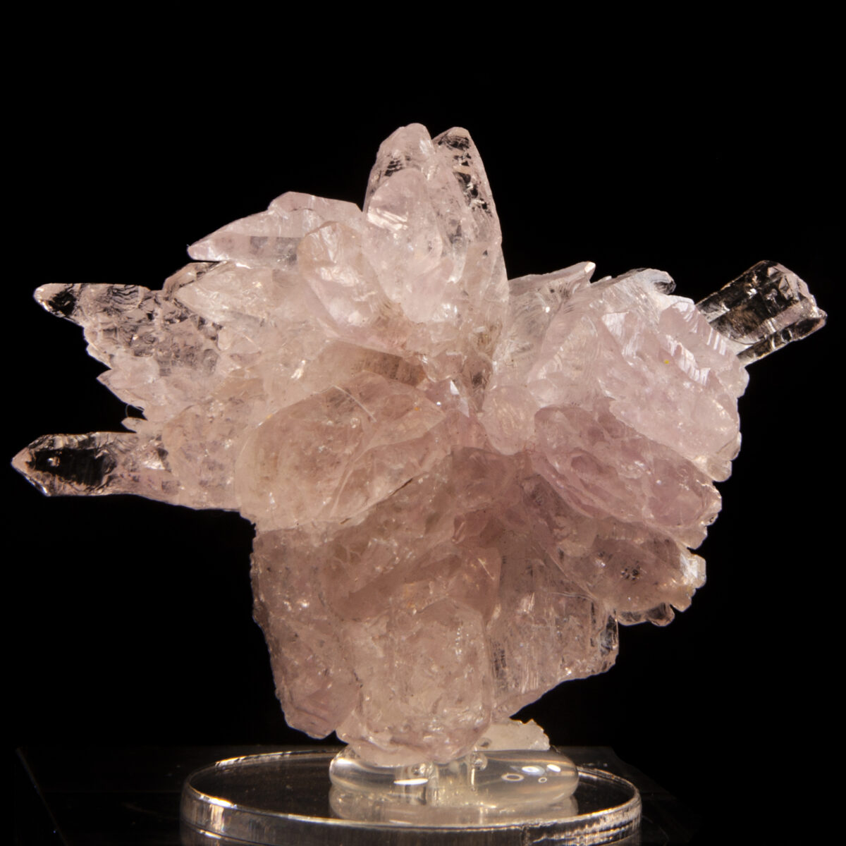 Rose Quartz with Muscovite