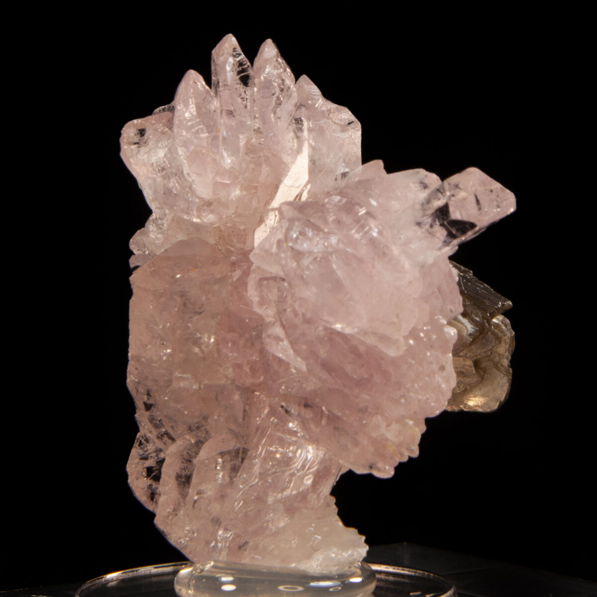 Rose Quartz with Muscovite