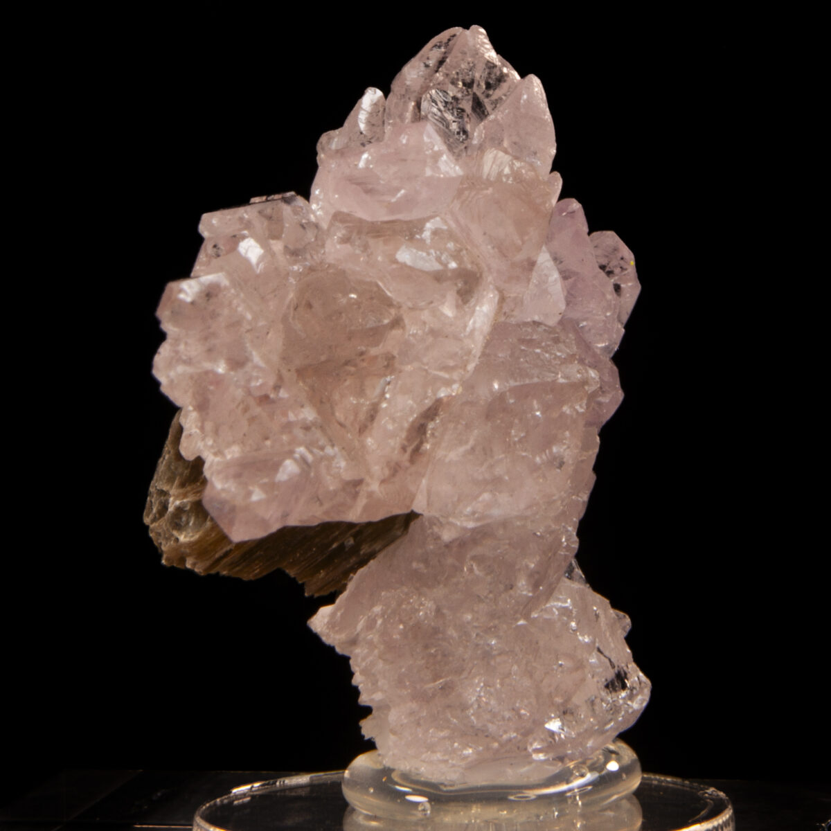 Rose Quartz with Muscovite