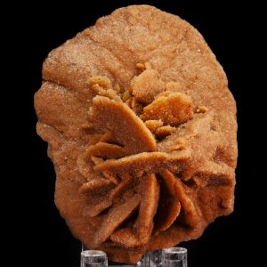 Gypsum var. Sand Selenite