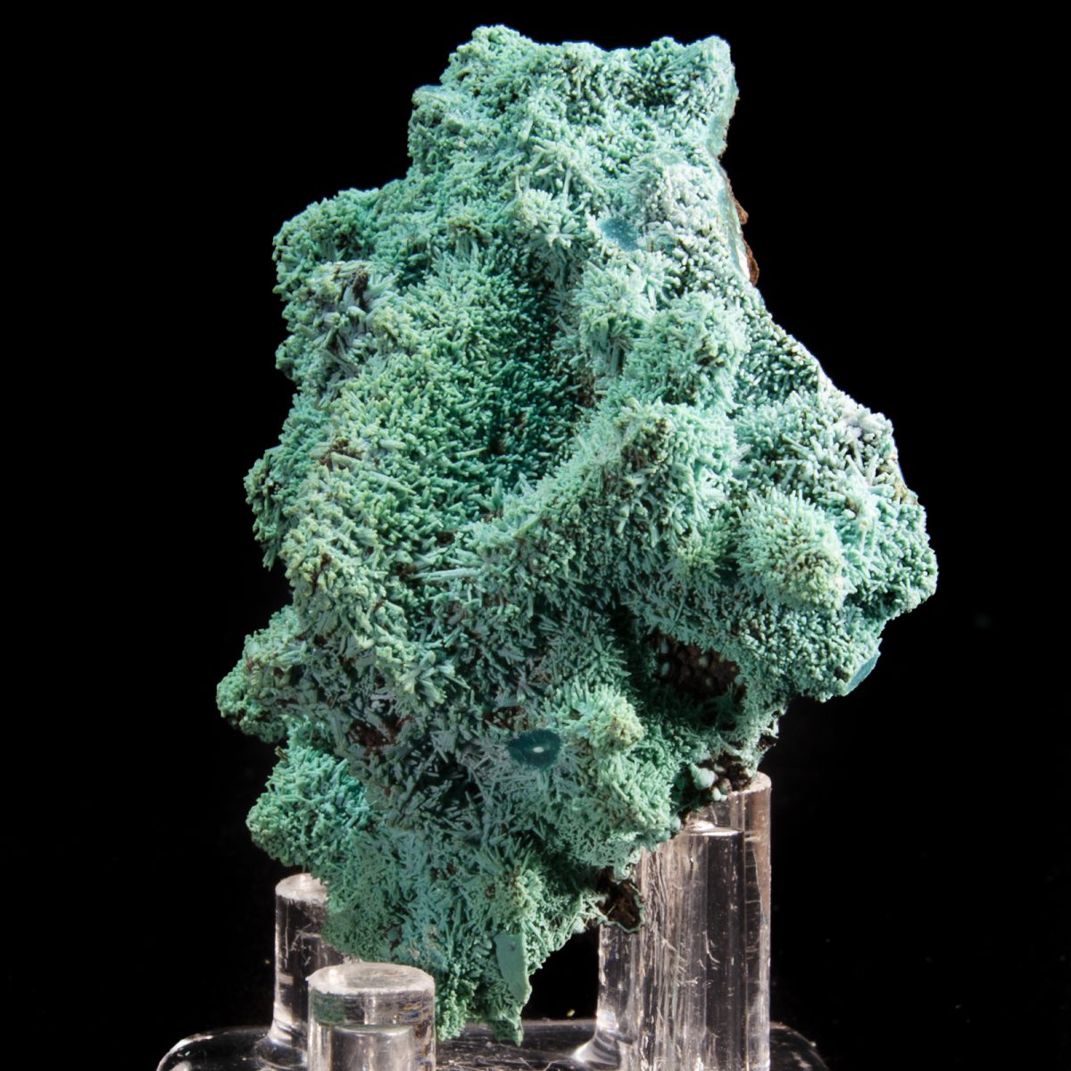 Chrysocolla ps. Azurite