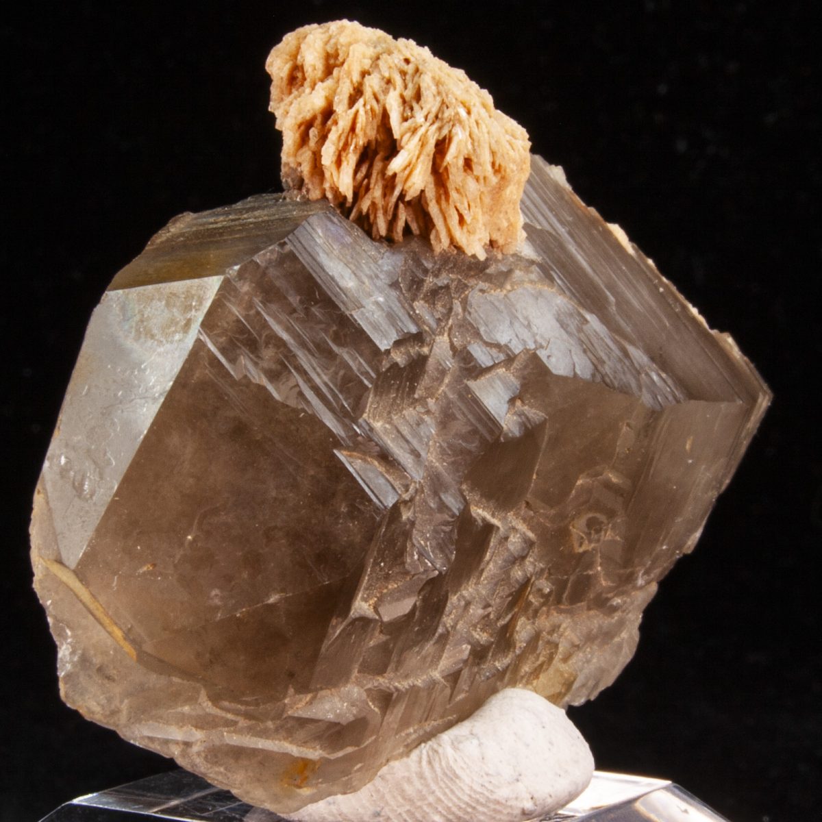 Smoky Quartz with Cleavelandite