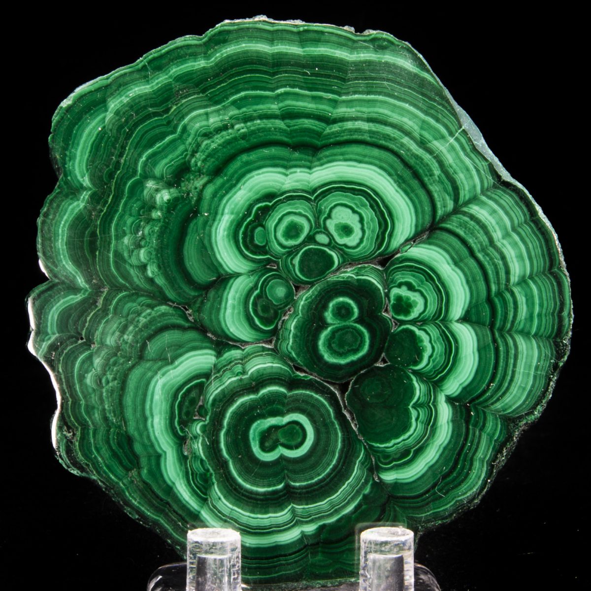 Malachite Stalactite (Polished Slice)