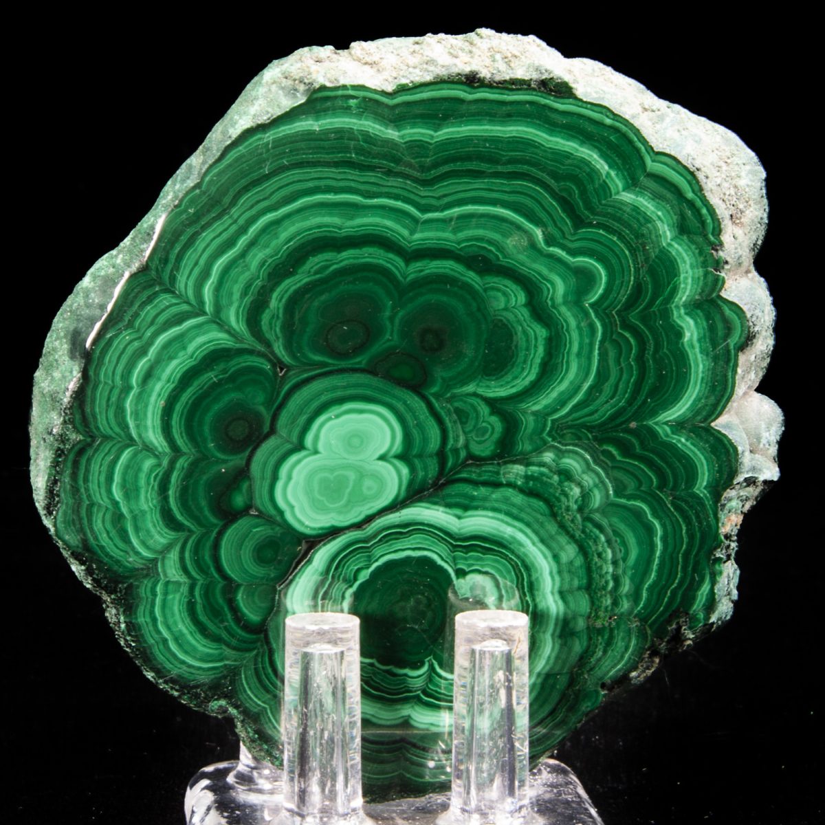 Malachite Stalactite (Polished Slice)