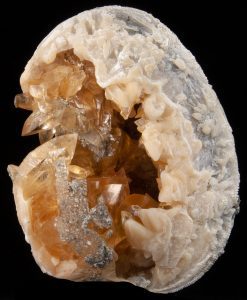 Mercenaria with Calcite