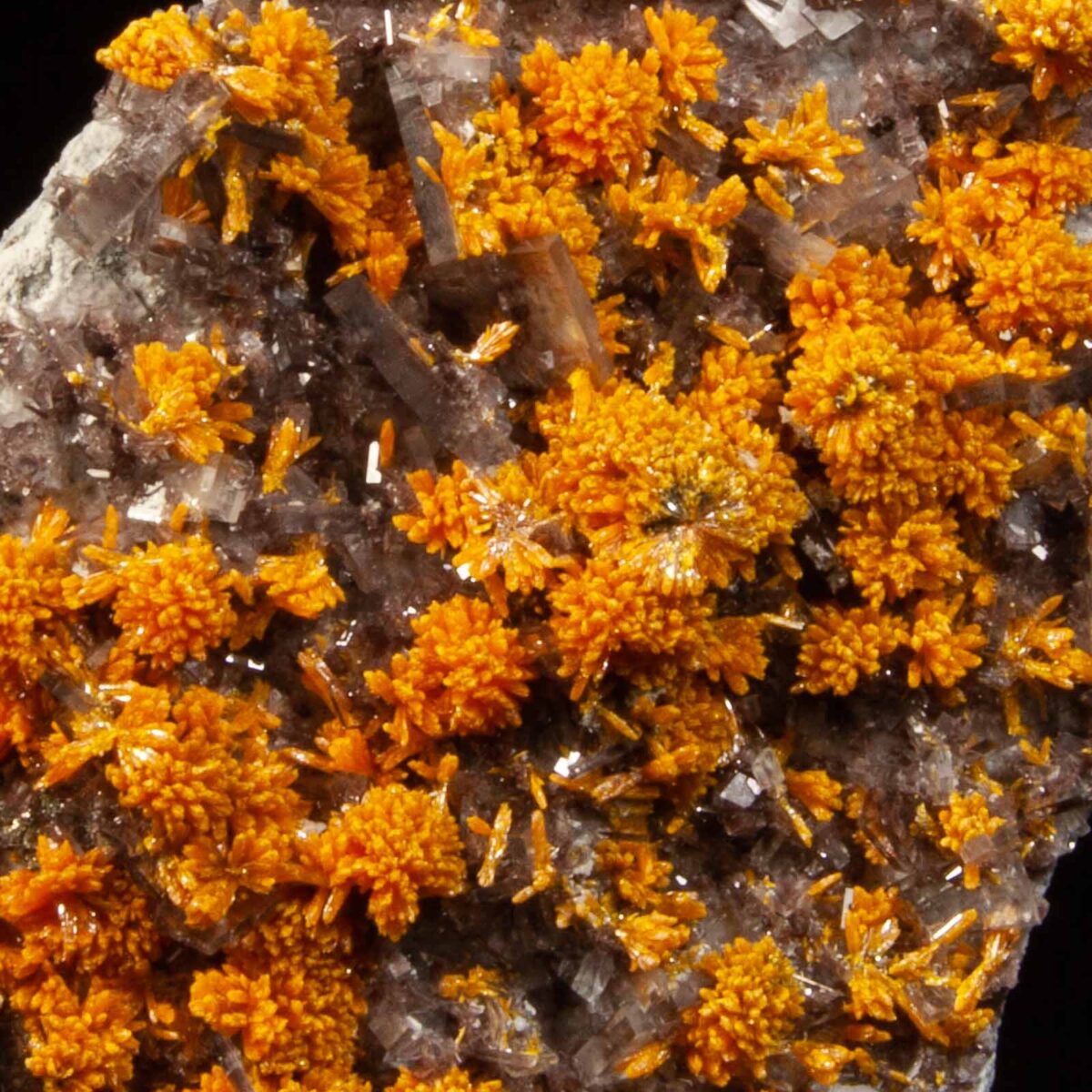 Orpiment and Barite