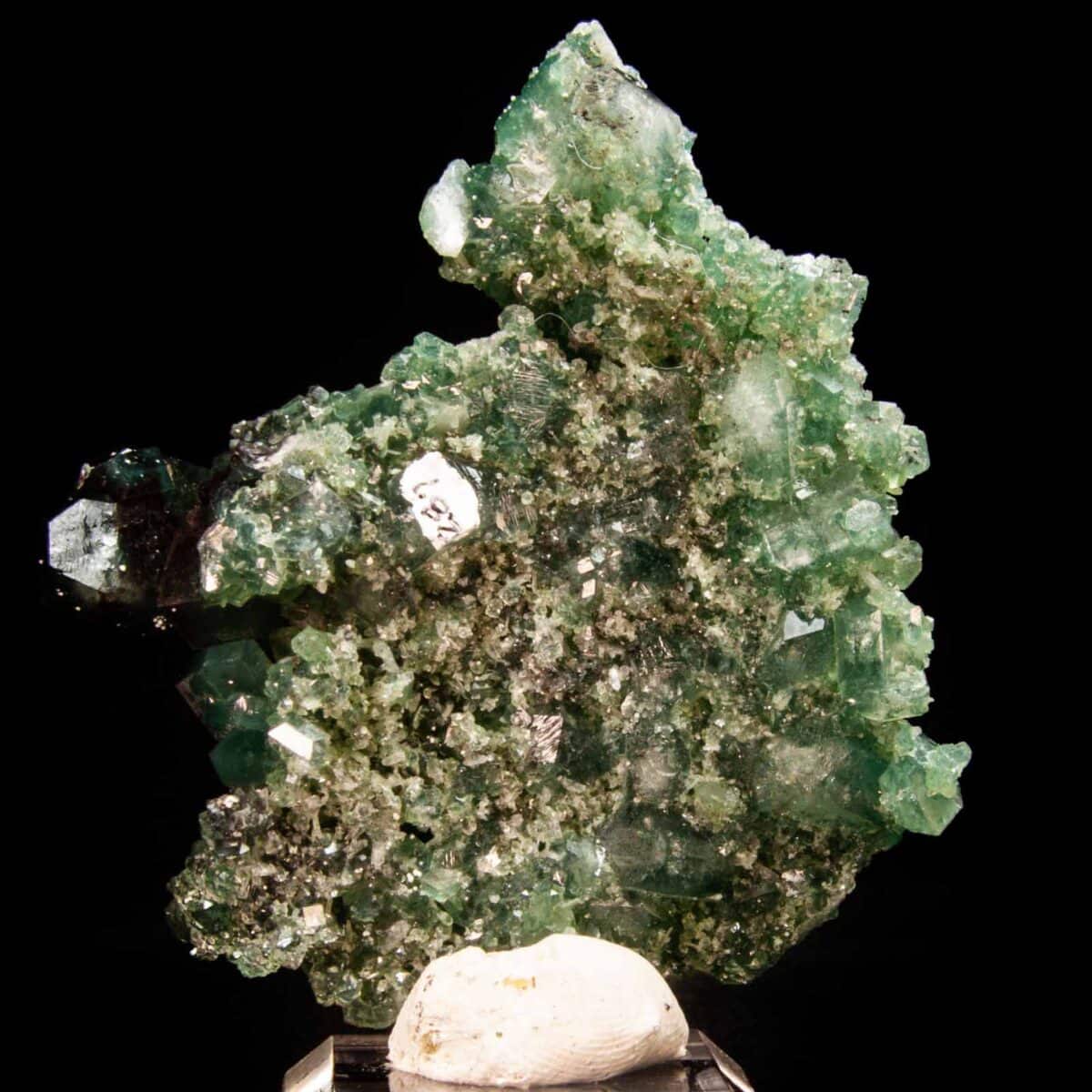 Apophyllite with Celadonite inclusions