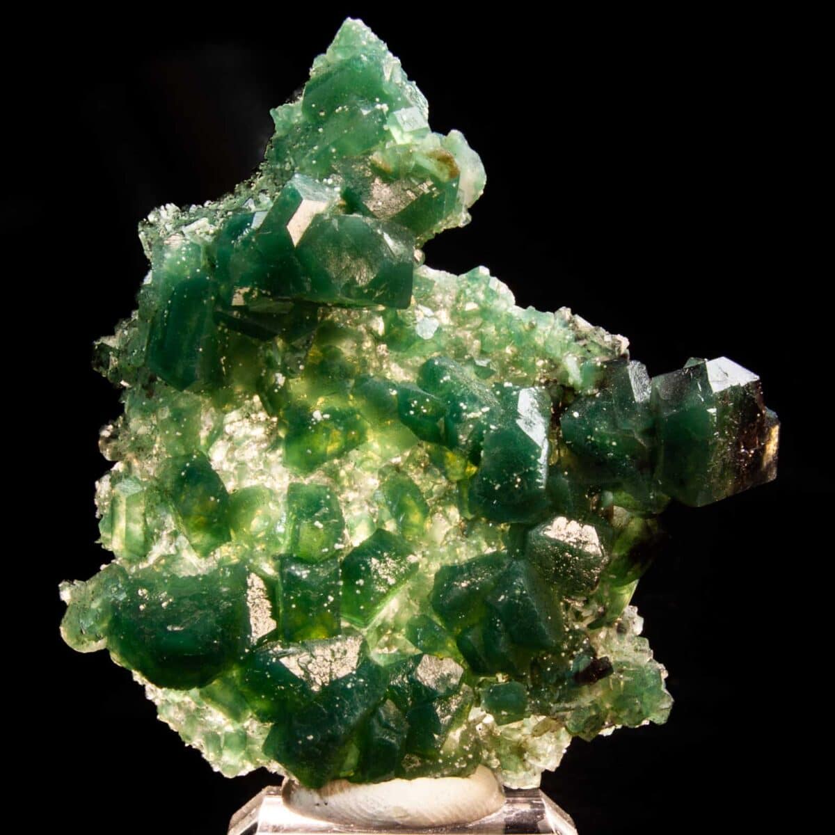 Apophyllite with Celadonite inclusions