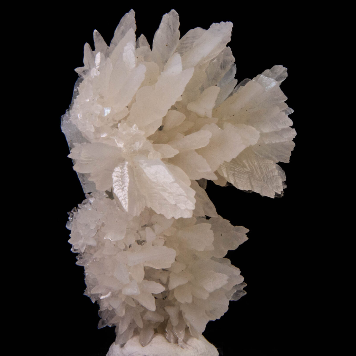 Calcite and Apophyllite