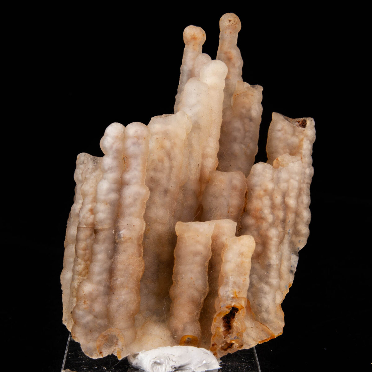 Agate Stalactite (Fossil Bamboo)