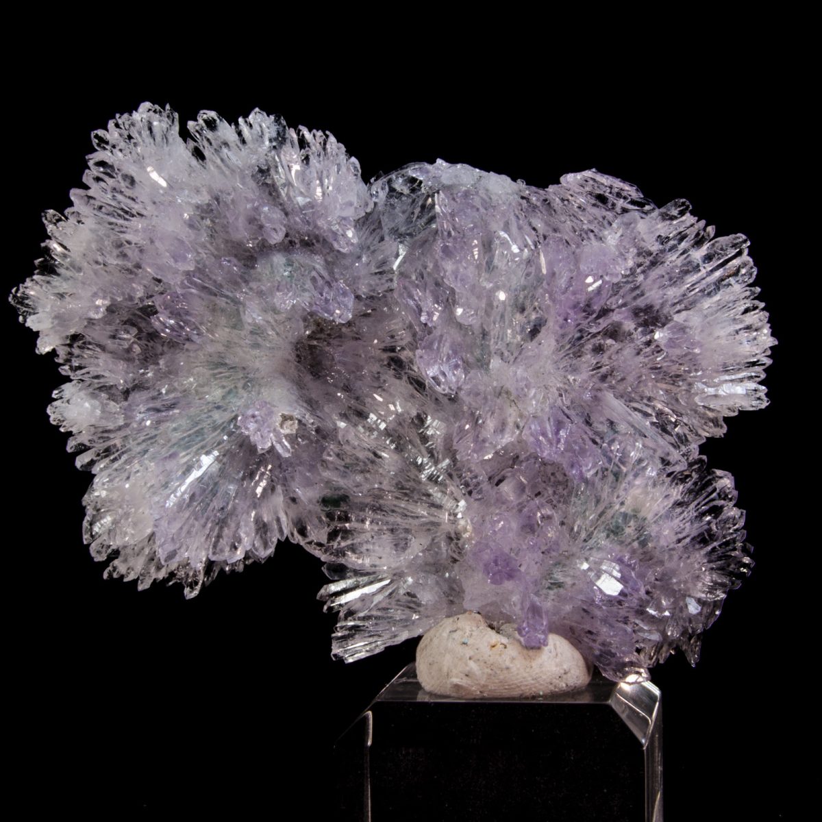 Amethyst Flower