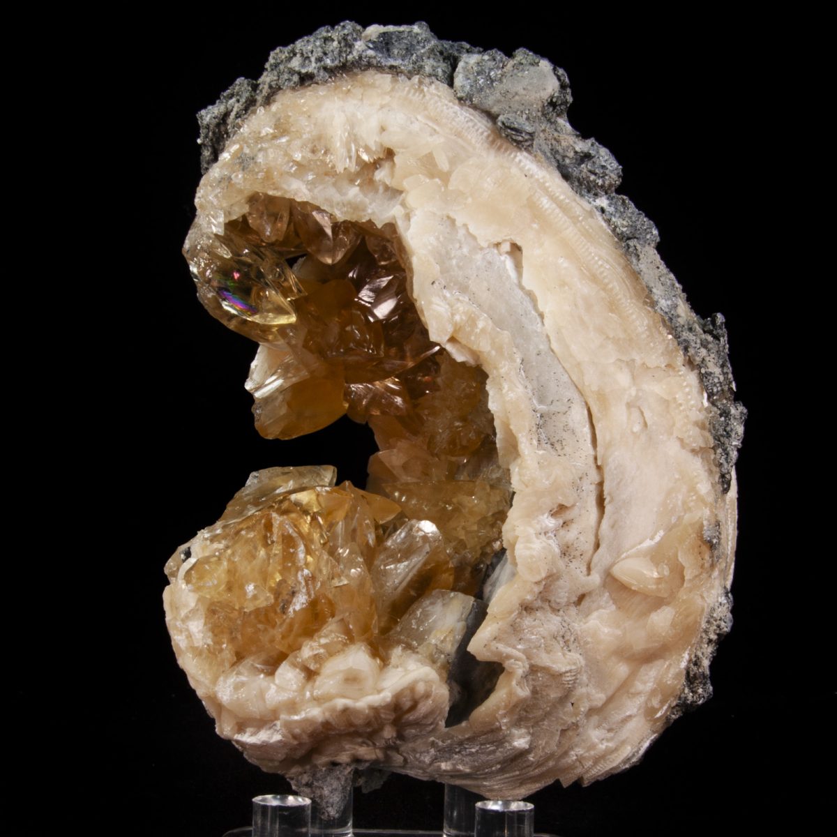 Calcite in Mercenaria Shell