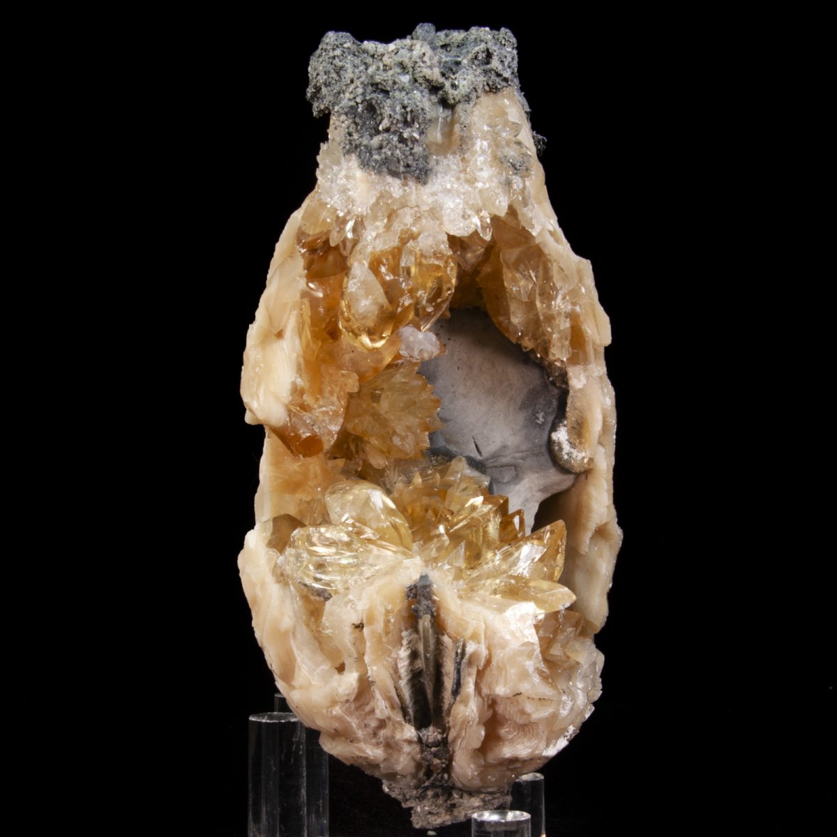 Calcite in Mercenaria Shell