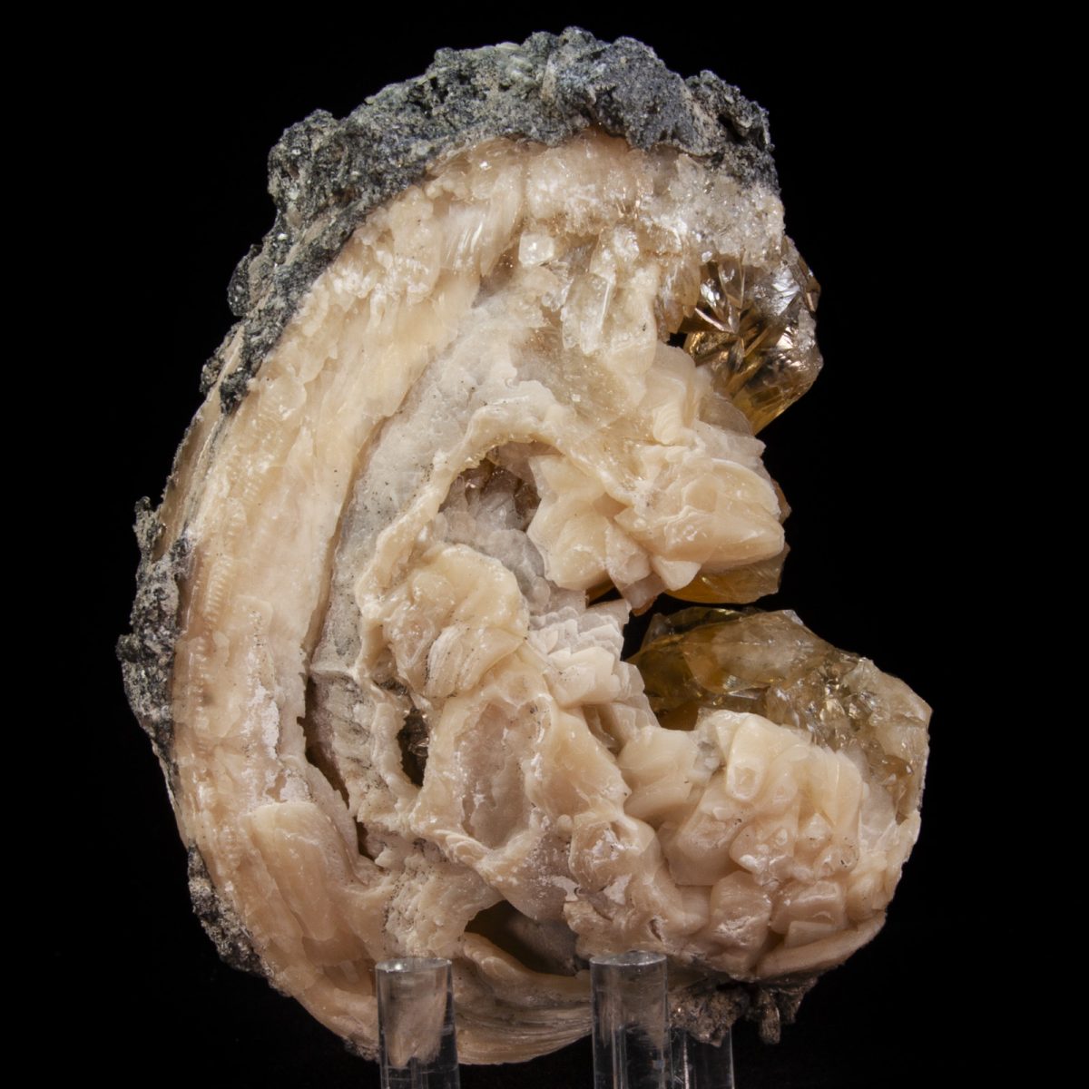 Calcite in Mercenaria Shell