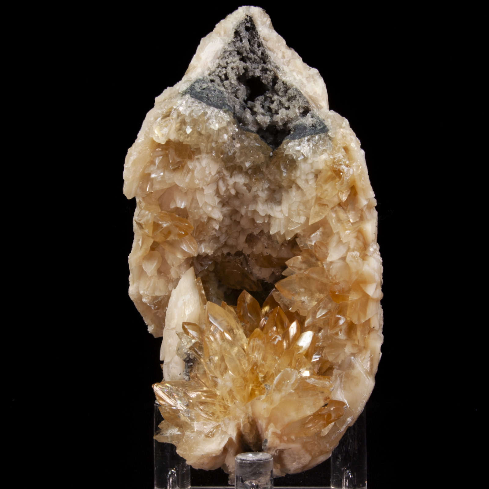 Calcite in Mercenaria Shell