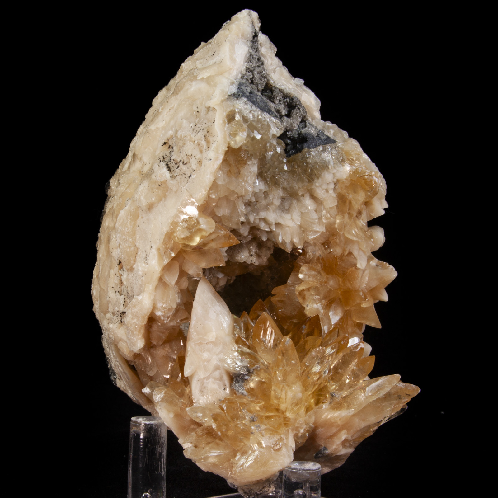 Calcite in Mercenaria Shell