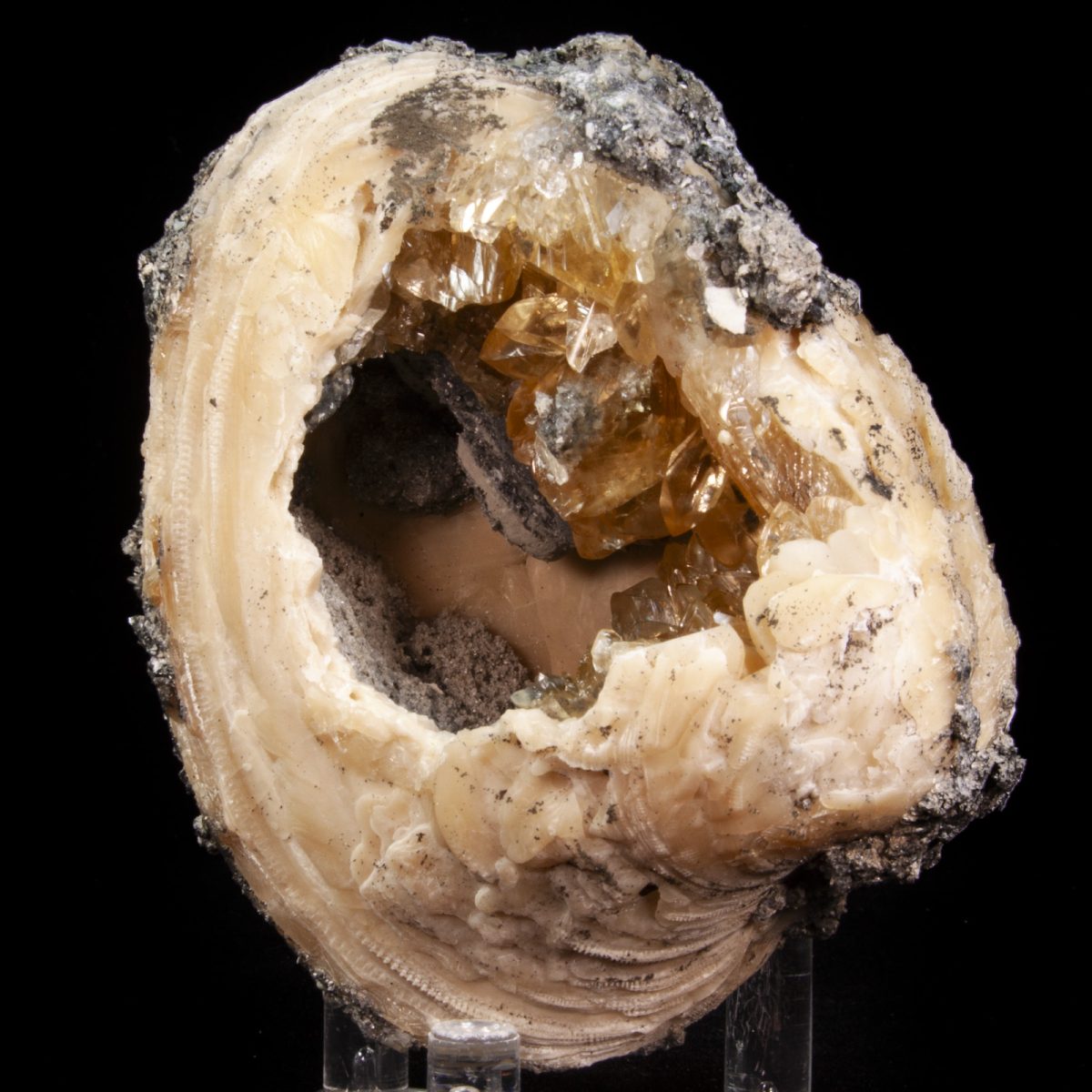 Calcite in Mercenaria Shell