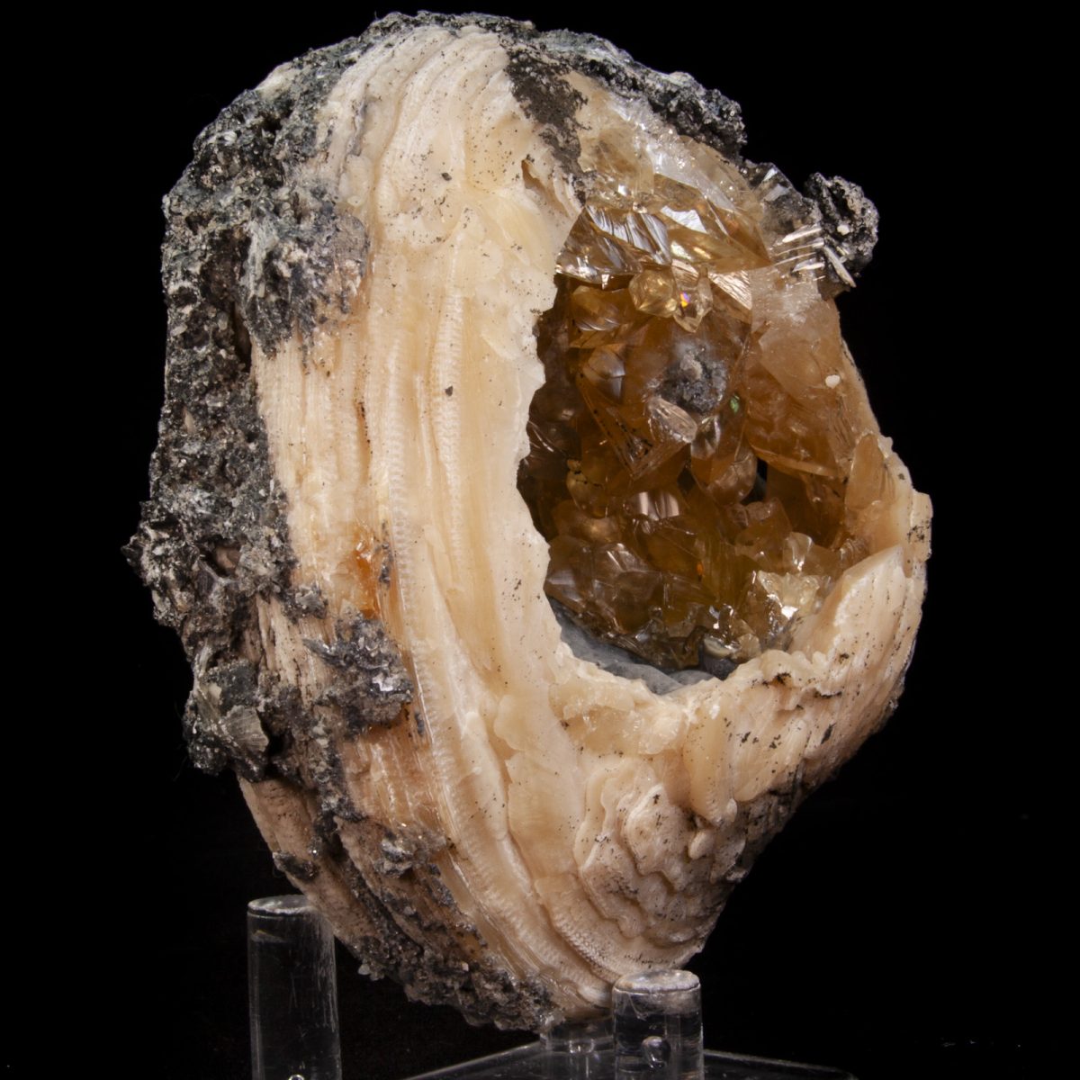 Calcite in Mercenaria Shell