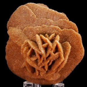 Gypsum var. Selenite