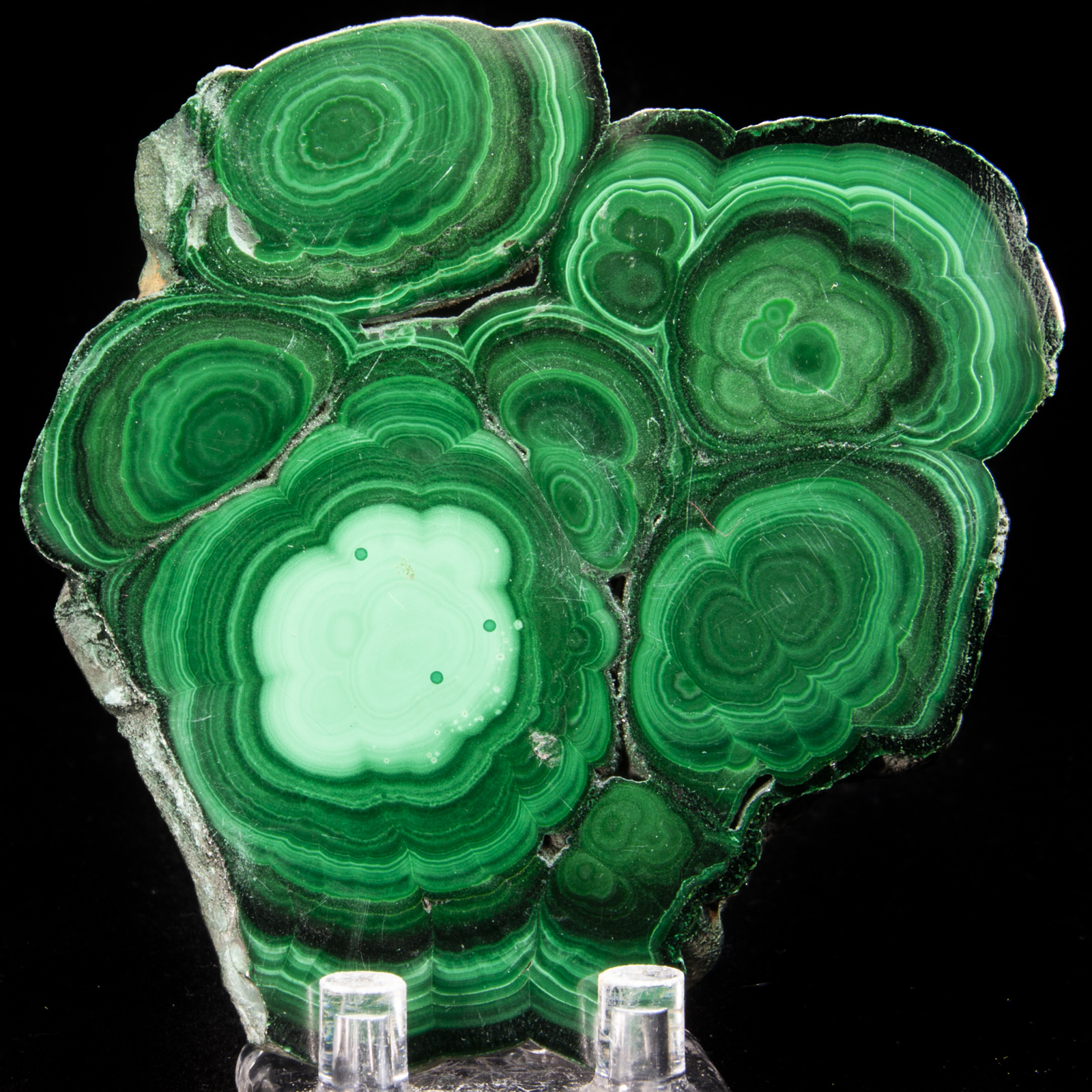 Malachite Stalactite slice (Polished)