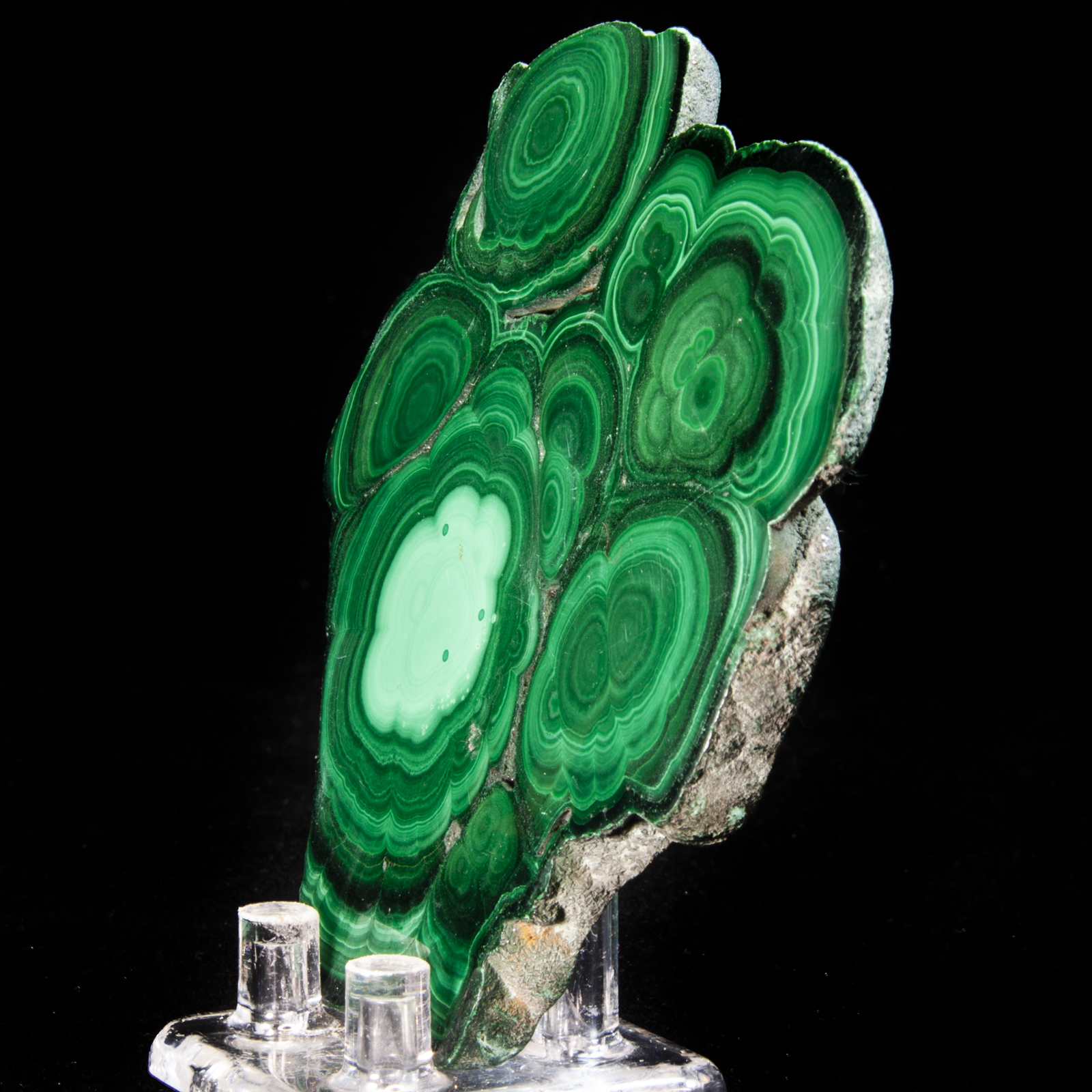 Malachite Stalactite slice (Polished)
