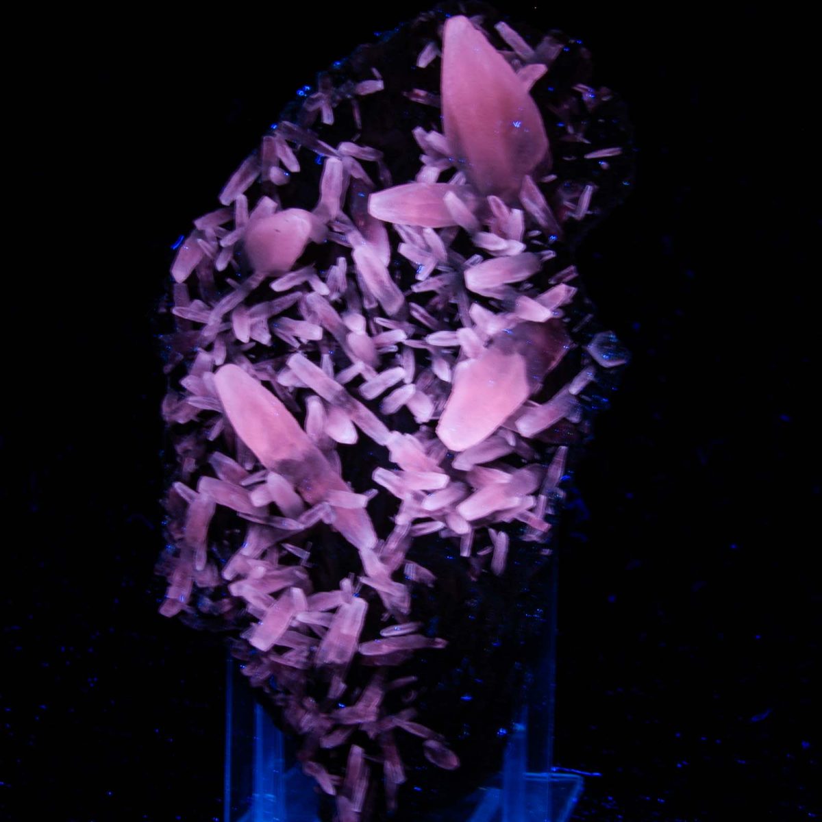 Calcite (Fluorescent)