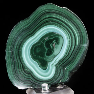 Malachite Stalactite slice (Polished)