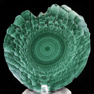 Malachite Stalactite slice (Polished)