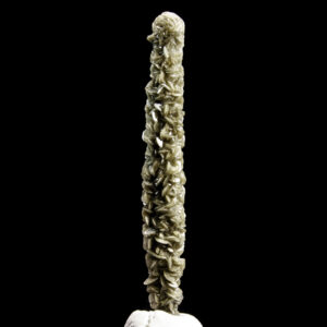 Siderite Stalactite