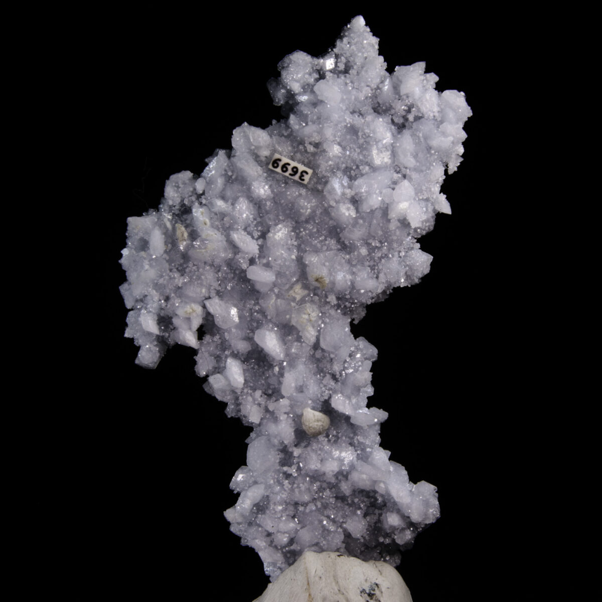 Celestine