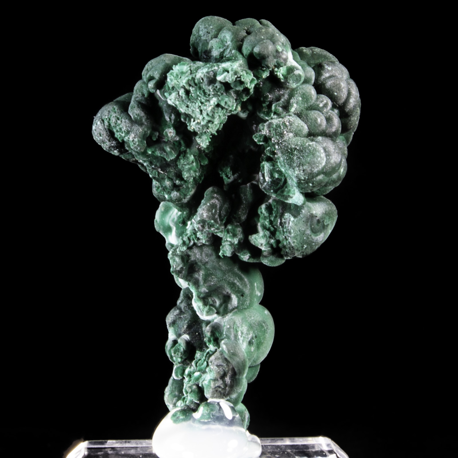Malachite Stalactite