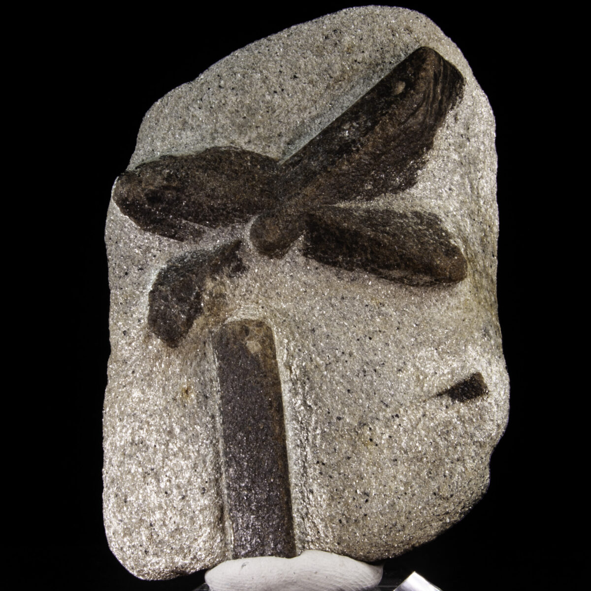 Staurolite in Mica Schist