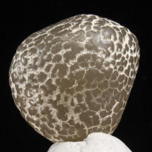 Skaneskin Agate