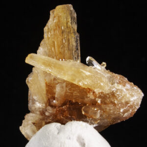 Creedite