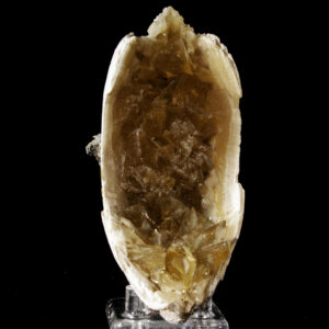 Calcite in Mercenaria (Fluorescent)