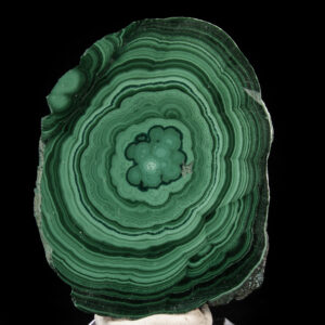 Malachite Stalactite slice (Polished)