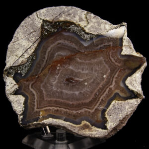 Agate (Thunder Egg)