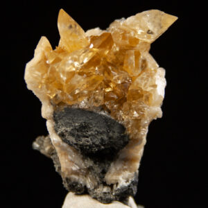 Calcite in Mercenaria
