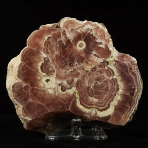 Rhodochrosite Stalactite Slice, Argentina
