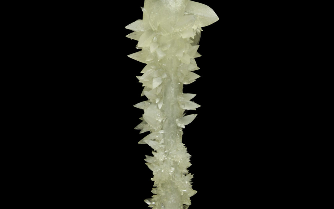 10 Best Minerals for Display Shelves