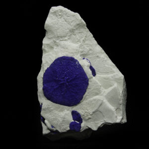 Azurite Sun in Kaolinite